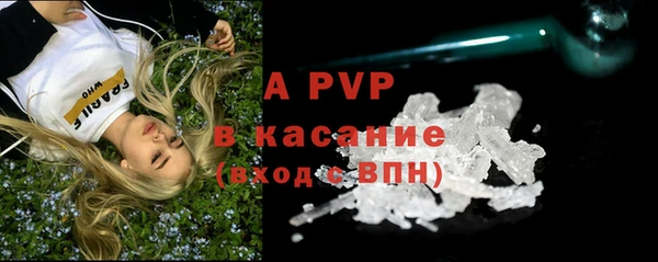 PSILOCYBIN Белокуриха