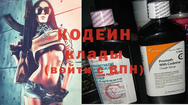 молекула духа Богданович