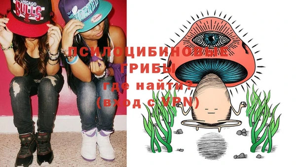 PSILOCYBIN Белокуриха