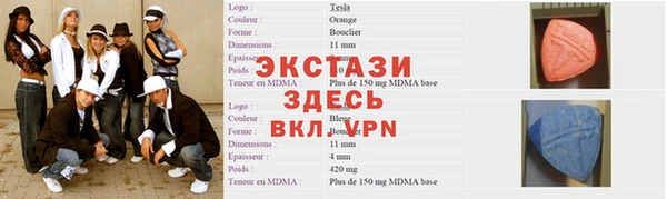 молекула духа Богданович