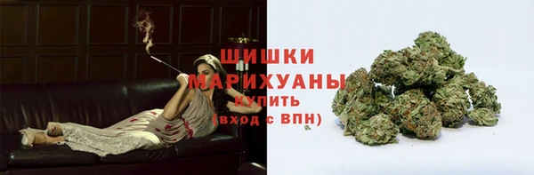 гашик Белоозёрский