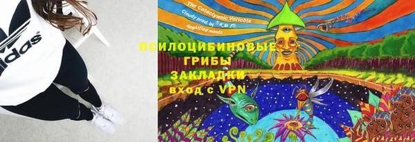 PSILOCYBIN Белокуриха