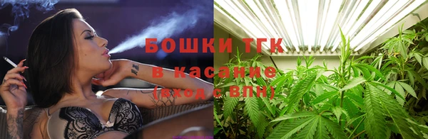 гашик Белоозёрский