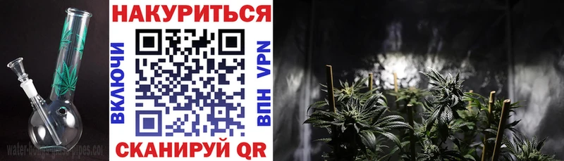 Конопля OG Kush Чернушка